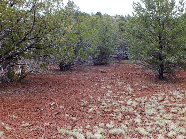 1 Acre Lot Available in Coconino County, Arizona!