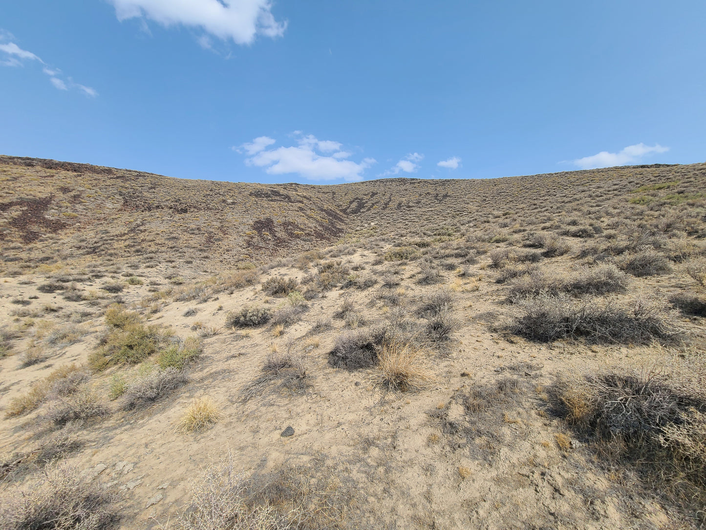 20 Acres Property Available in Golconda, NV