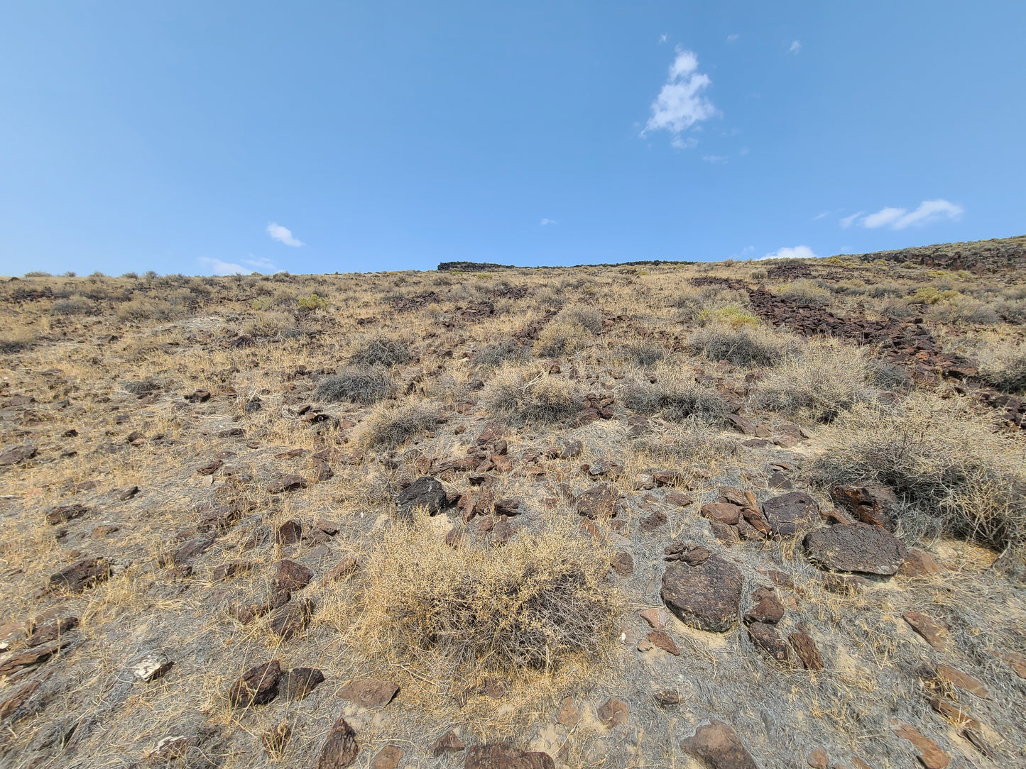 20 Acres Property Available in Golconda, NV