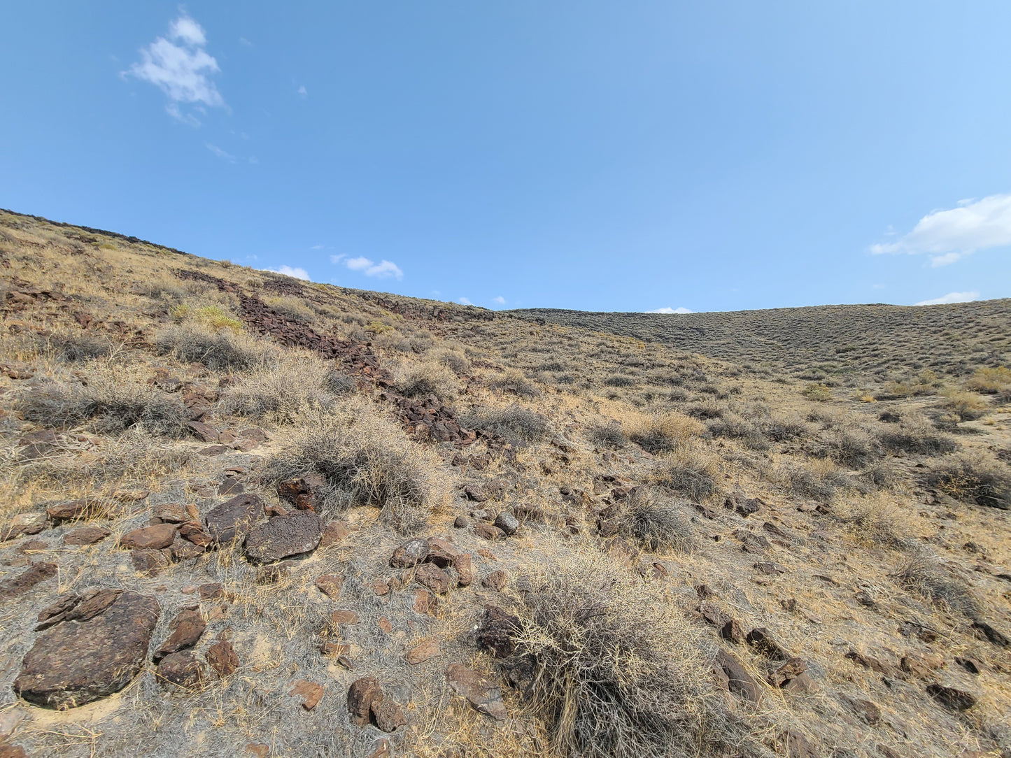 20 Acres Property Available in Golconda, NV