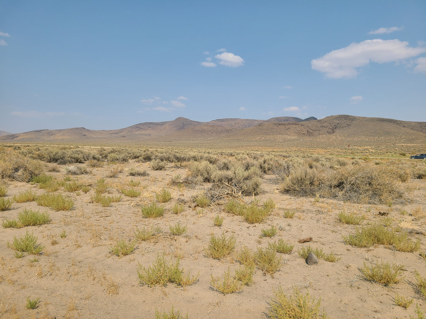 20 Acres Property Available in Golconda, NV