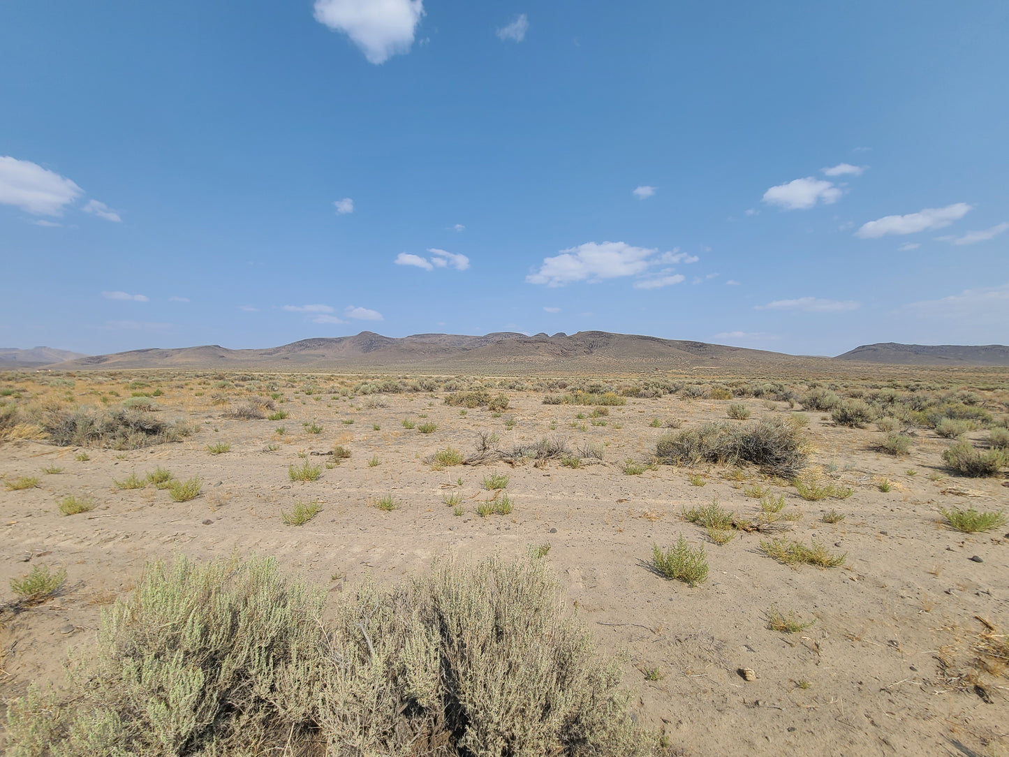 20 Acres Property Available in Golconda, NV