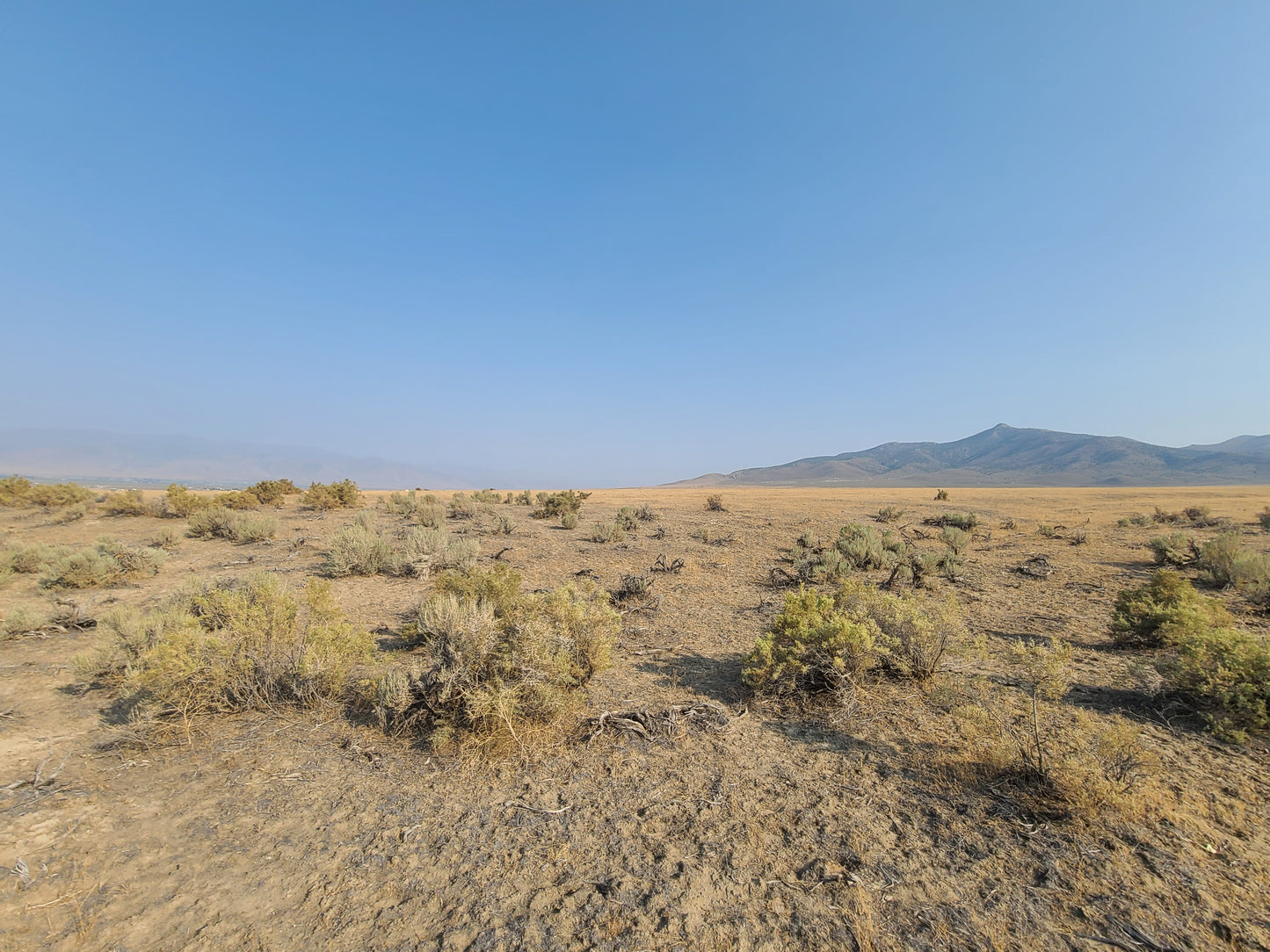 9.11 Acre Huge Lot in Nevada Available!