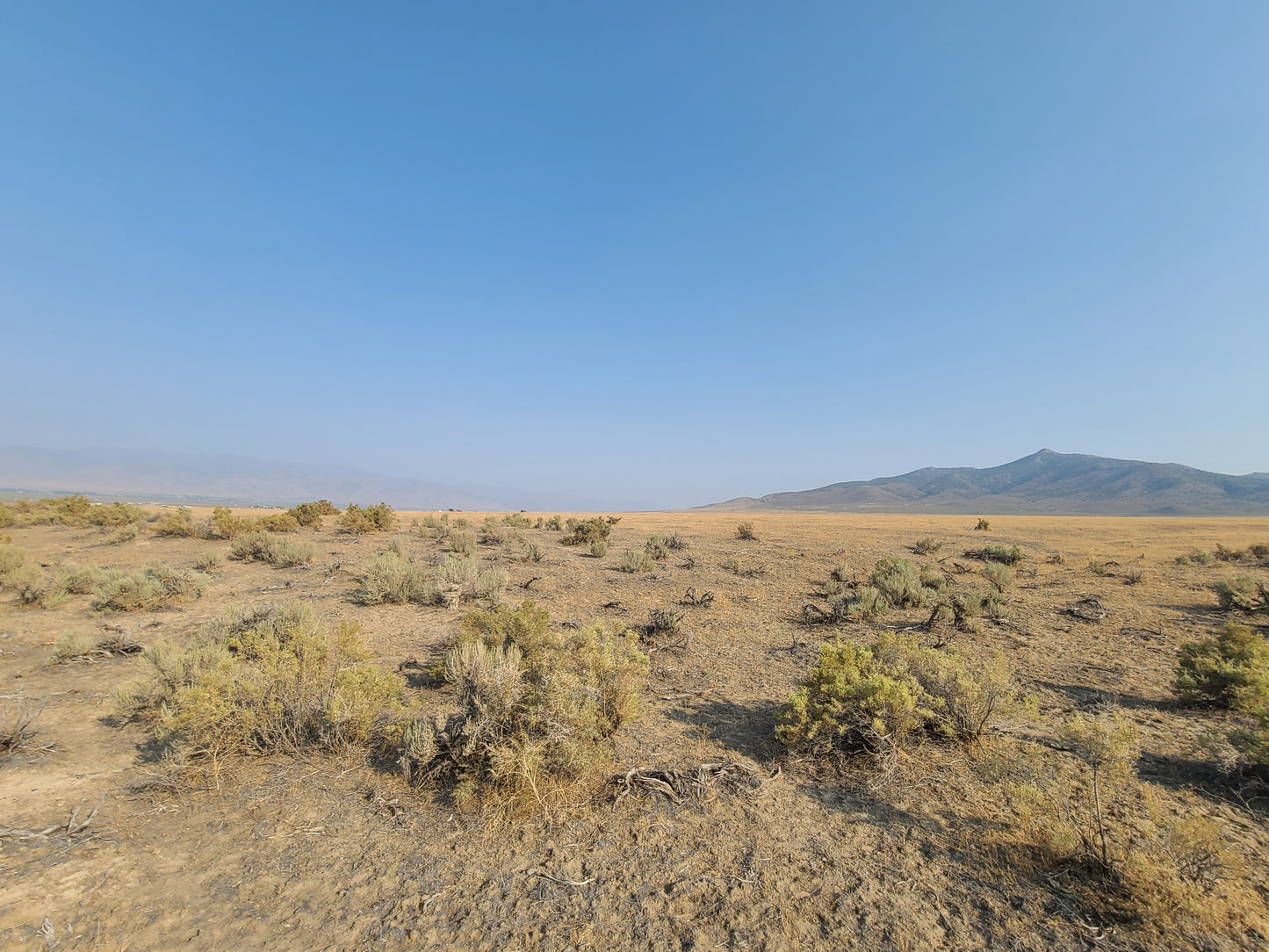 9.11 Acre Huge Lot in Nevada Available!