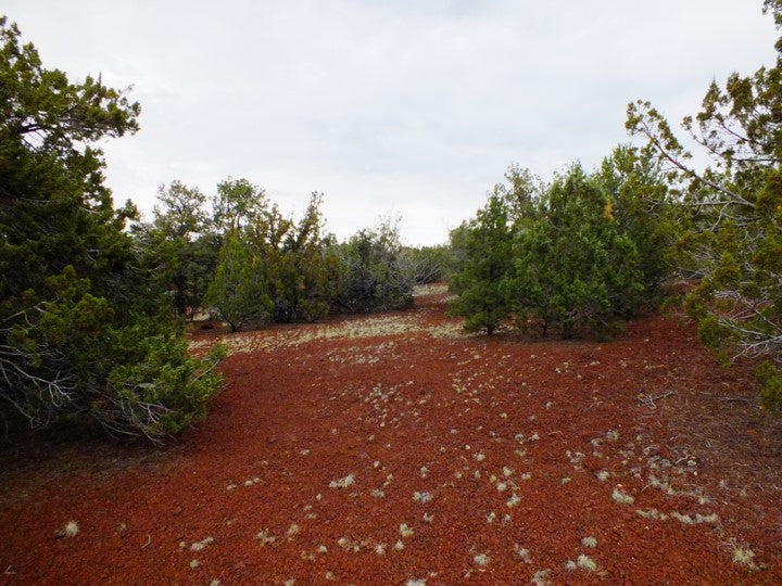 1 Acre Lot Available in Coconino County, Arizona!