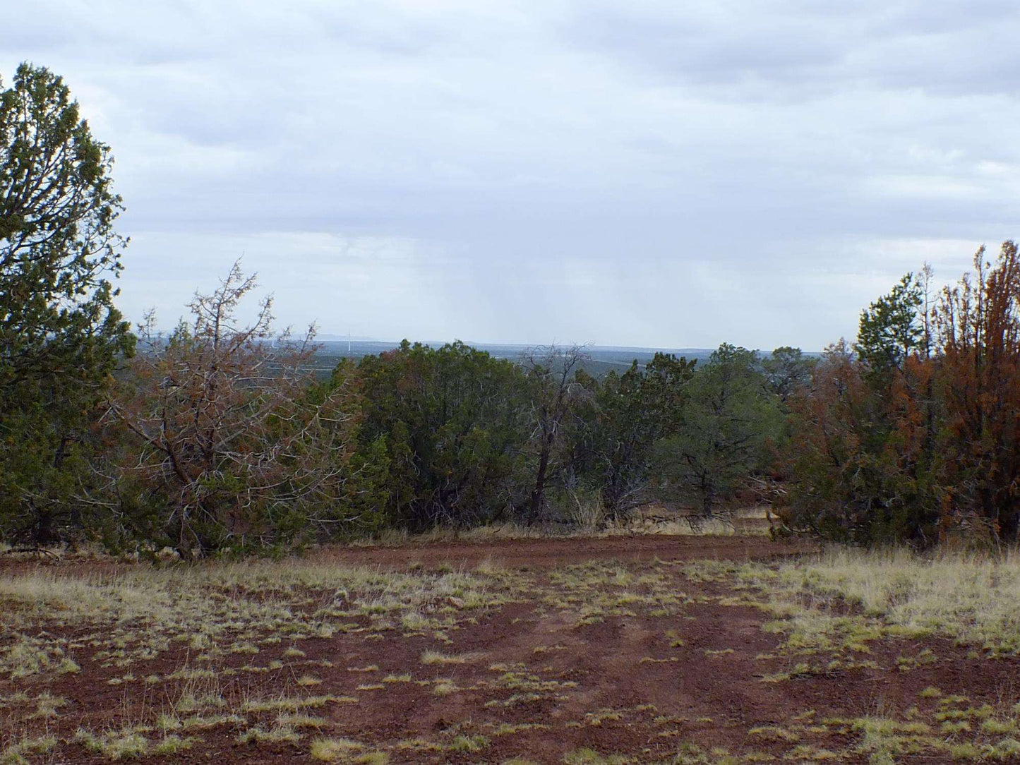 1 Acre Lot Available in Coconino County, Arizona!