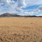 A 10 Acre Lot for Sale in Nevada!