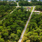 ¡LOTE DE 0,23 ACRES DEL CONDADO DE CHARLOTTE EN VENTA! 