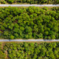 ¡LOTE DE 0,23 ACRES DEL CONDADO DE CHARLOTTE EN VENTA! 