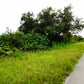 Amazing 0.398 Acre Corner Lot Available for Sale in Lehigh Acres, Florida!