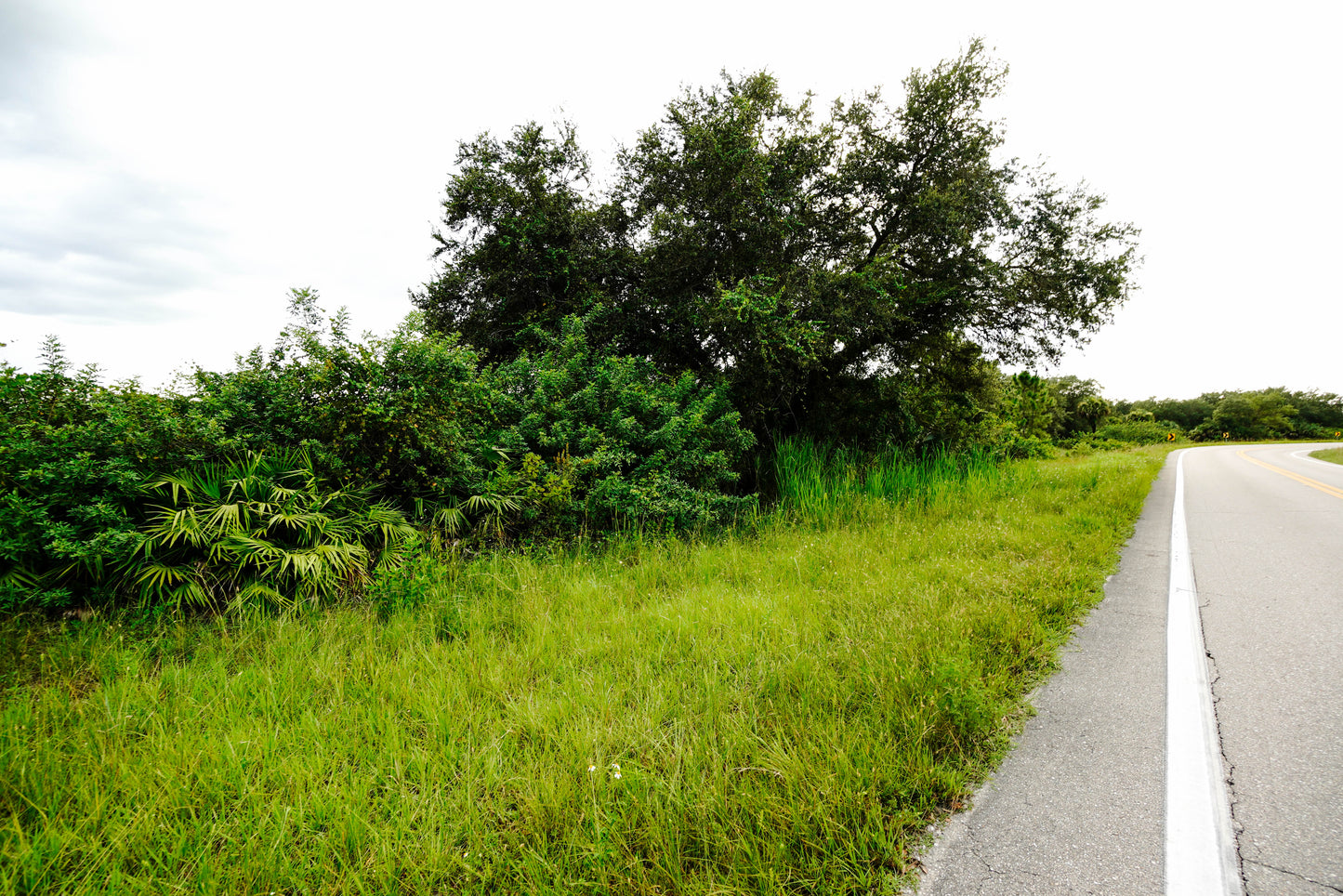 Amazing 0.398 Acre Corner Lot Available for Sale in Lehigh Acres, Florida!