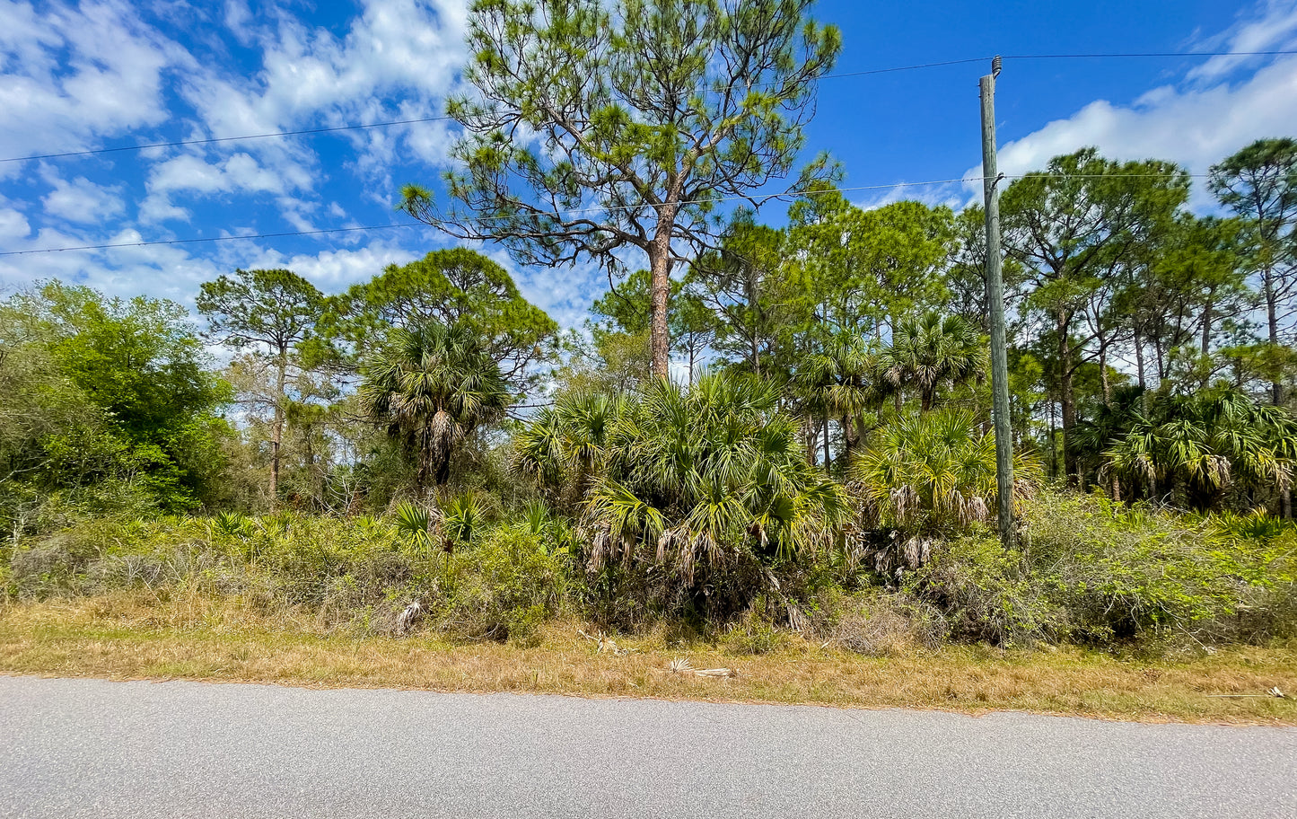 0.23 ACRE LOT AVAILABLE IN CHARLOTTE COUNTY