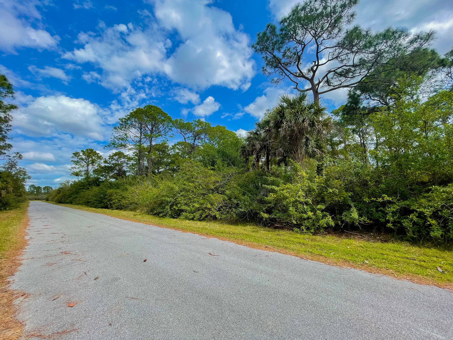 0.23 ACRE LOT AVAILABLE IN CHARLOTTE COUNTY