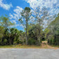0,23 ACRES EN RISING PORT CHARLOTTE, FL 