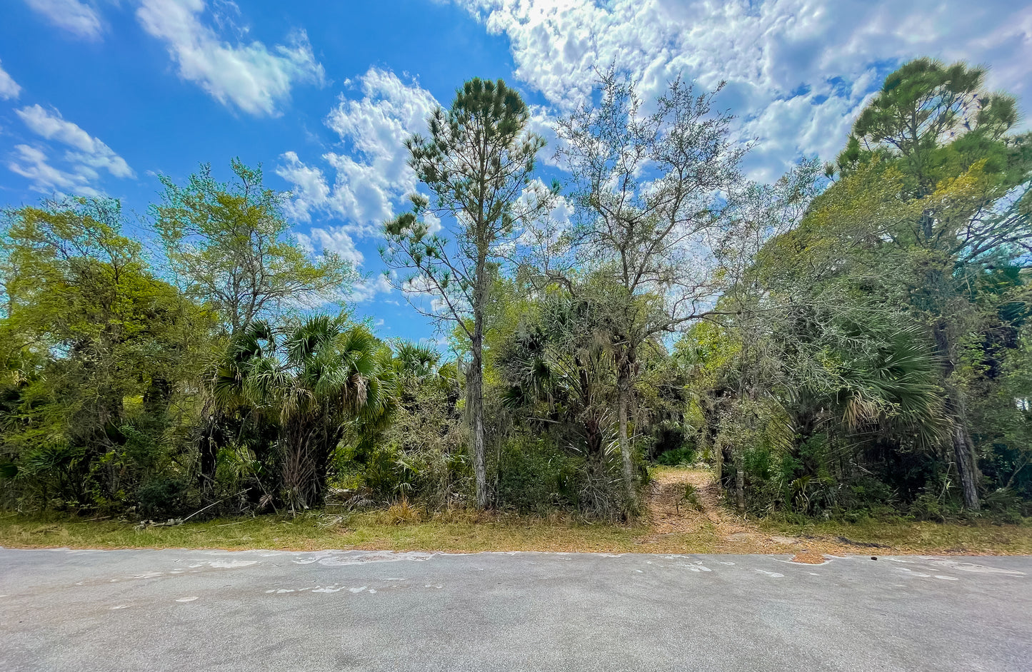 0.23 ACRE IN RISING PORT CHARLOTTE, FL