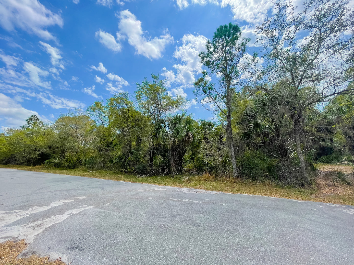 0.23 ACRE IN RISING PORT CHARLOTTE, FL