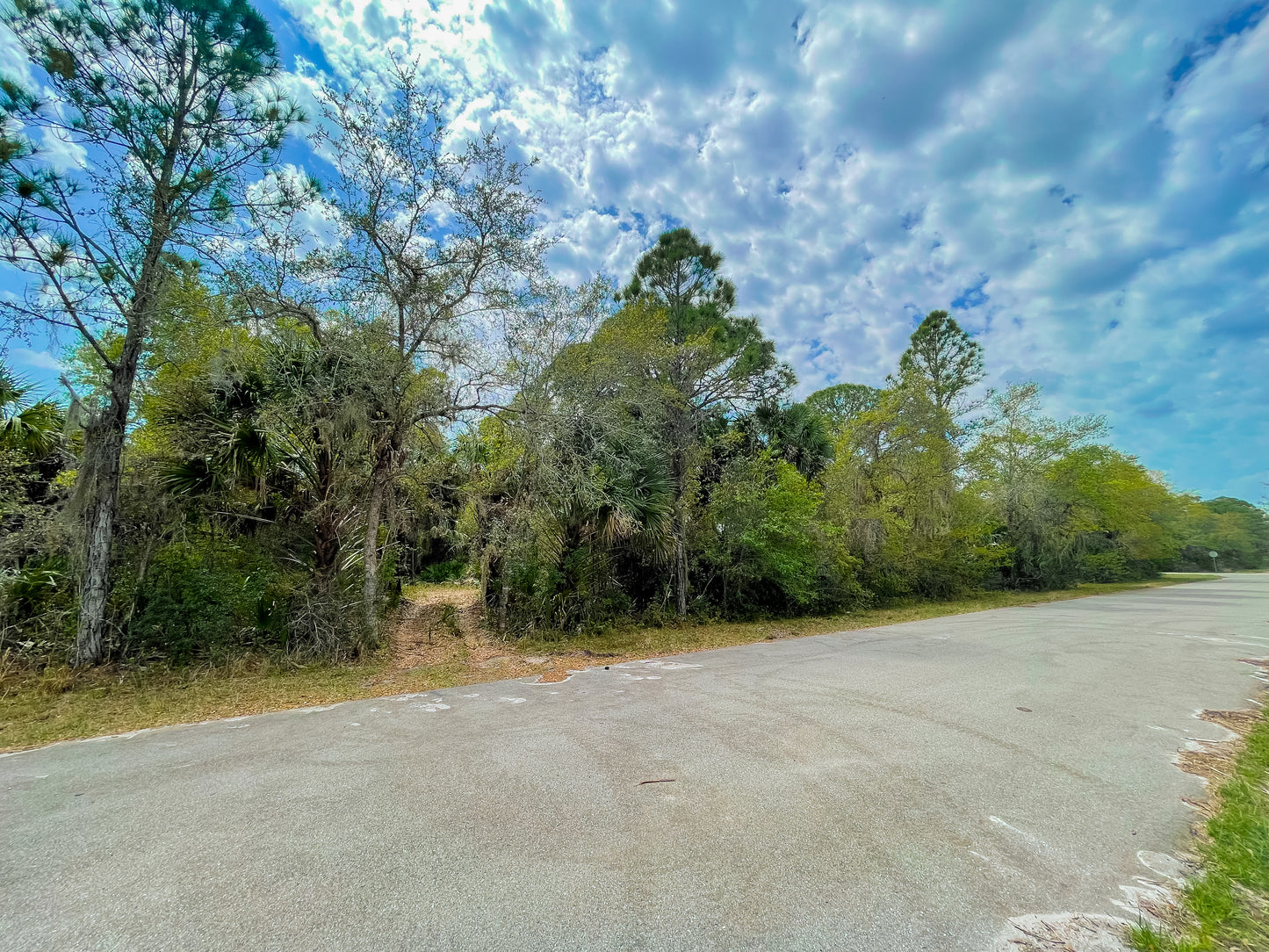 0.23 ACRE IN RISING PORT CHARLOTTE, FL