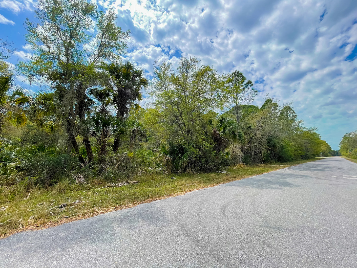 0.23 ACRE IN RISING PORT CHARLOTTE, FL