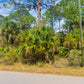 ¡LOTE DE 0,23 ACRES DEL CONDADO DE CHARLOTTE EN VENTA! 
