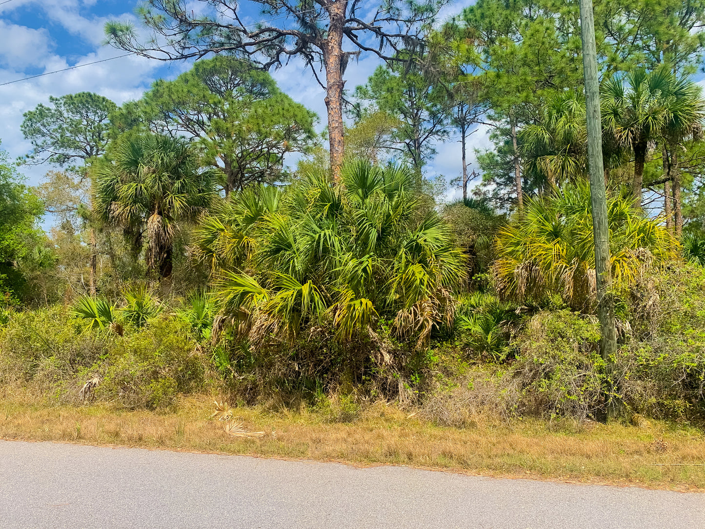 CHARLOTTE COUNTY 0.23 ACRE LOT FOR SALE!