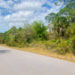 ¡LOTE DE 0,23 ACRES DEL CONDADO DE CHARLOTTE EN VENTA! 