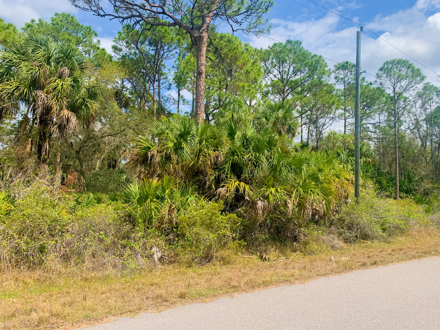 CHARLOTTE COUNTY 0.23 ACRE LOT FOR SALE!