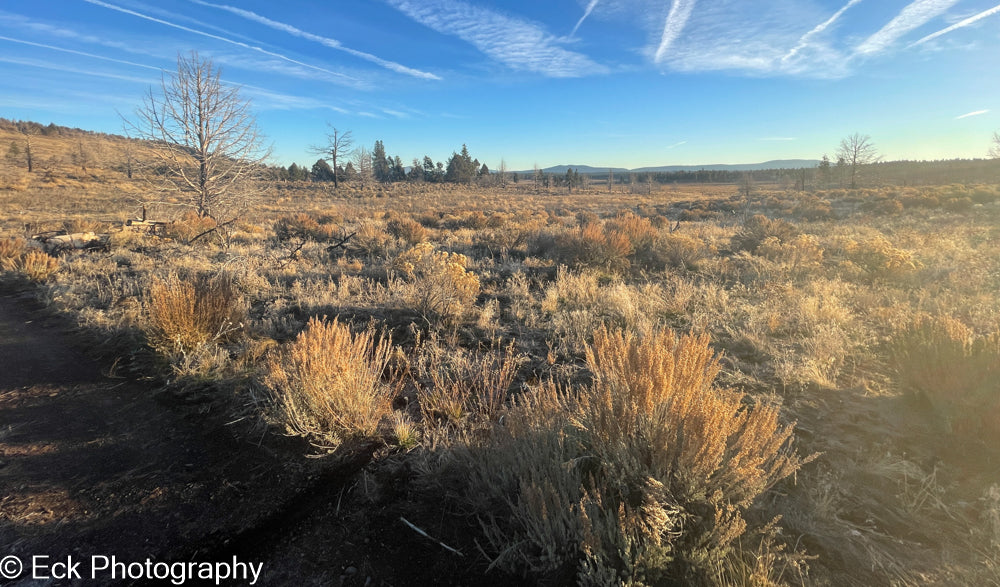 3.17 ACRE LOT AVAILABLE IN KLAMATH COUNTY, OREGON