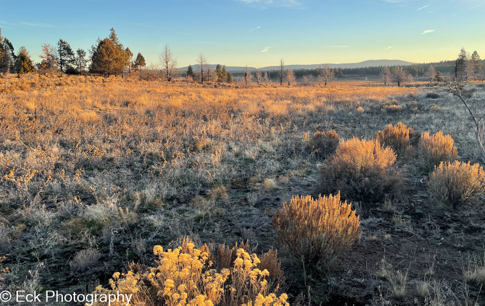 3.17 ACRE LOT AVAILABLE IN KLAMATH COUNTY, OREGON