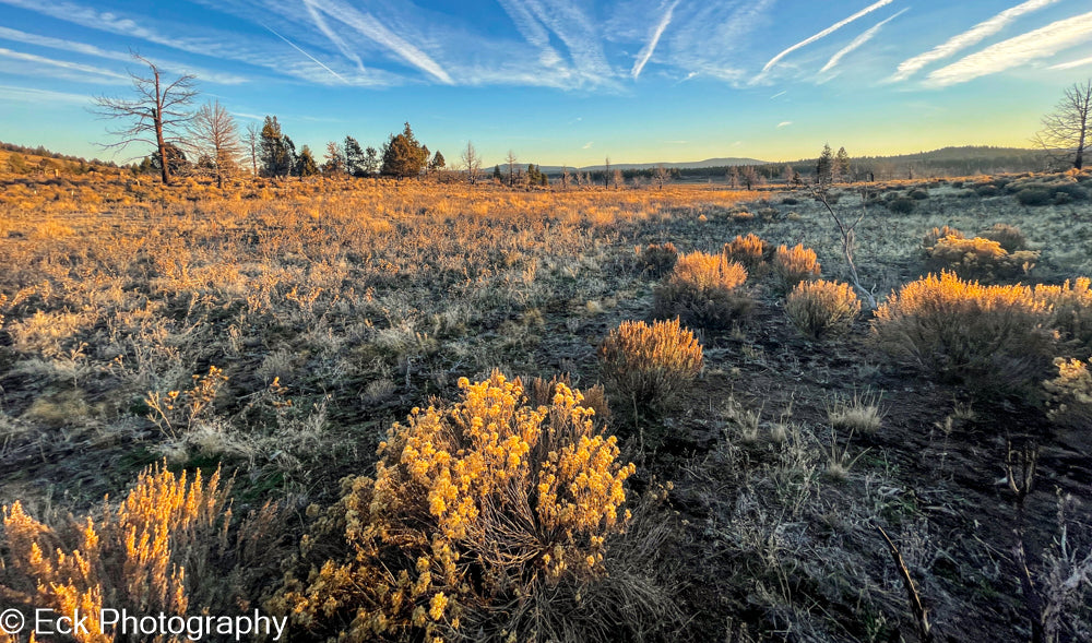 3.17 ACRE LOT AVAILABLE IN KLAMATH COUNTY, OREGON