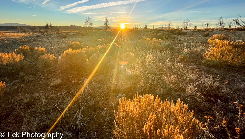 3.17 ACRE LOT AVAILABLE IN KLAMATH COUNTY, OREGON