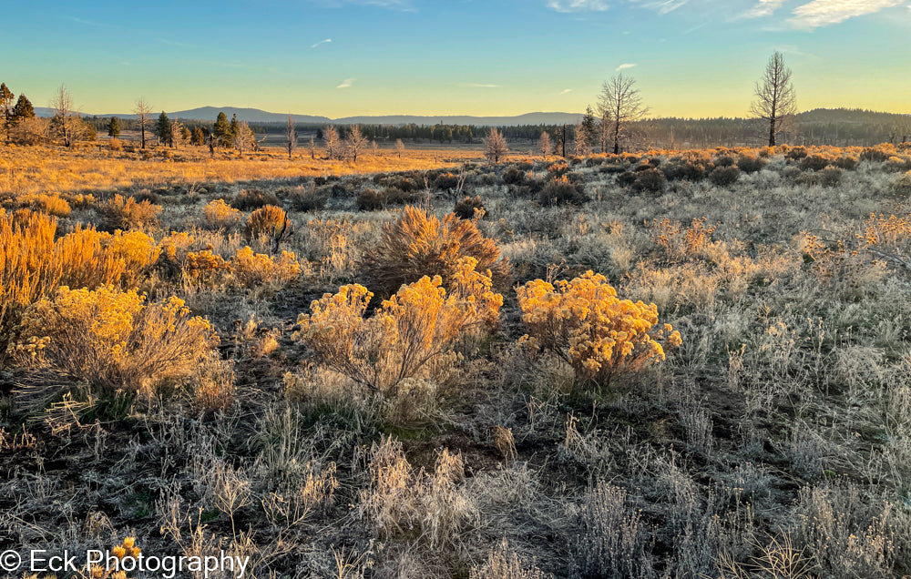 3.17 ACRE LOT AVAILABLE IN KLAMATH COUNTY, OREGON