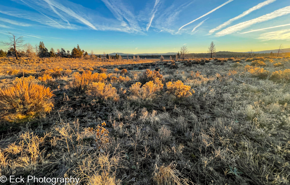 3.17 ACRE LOT AVAILABLE IN KLAMATH COUNTY, OREGON