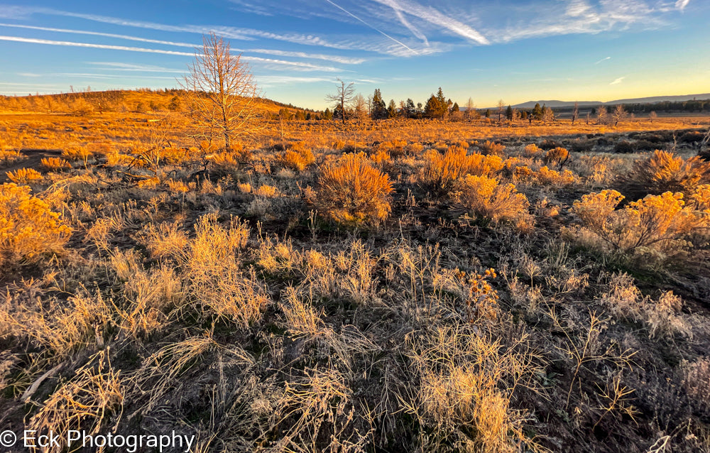 3.17 ACRE LOT AVAILABLE IN KLAMATH COUNTY, OREGON