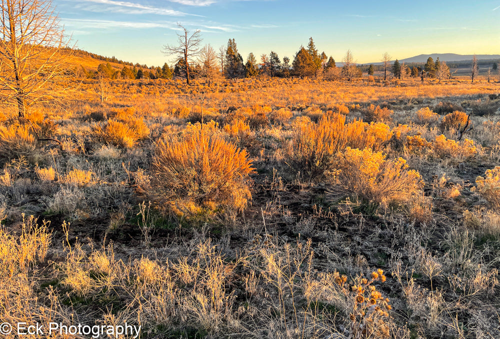 3.17 ACRE LOT AVAILABLE IN KLAMATH COUNTY, OREGON