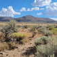 A 10 Acre Lot for Sale in Nevada!