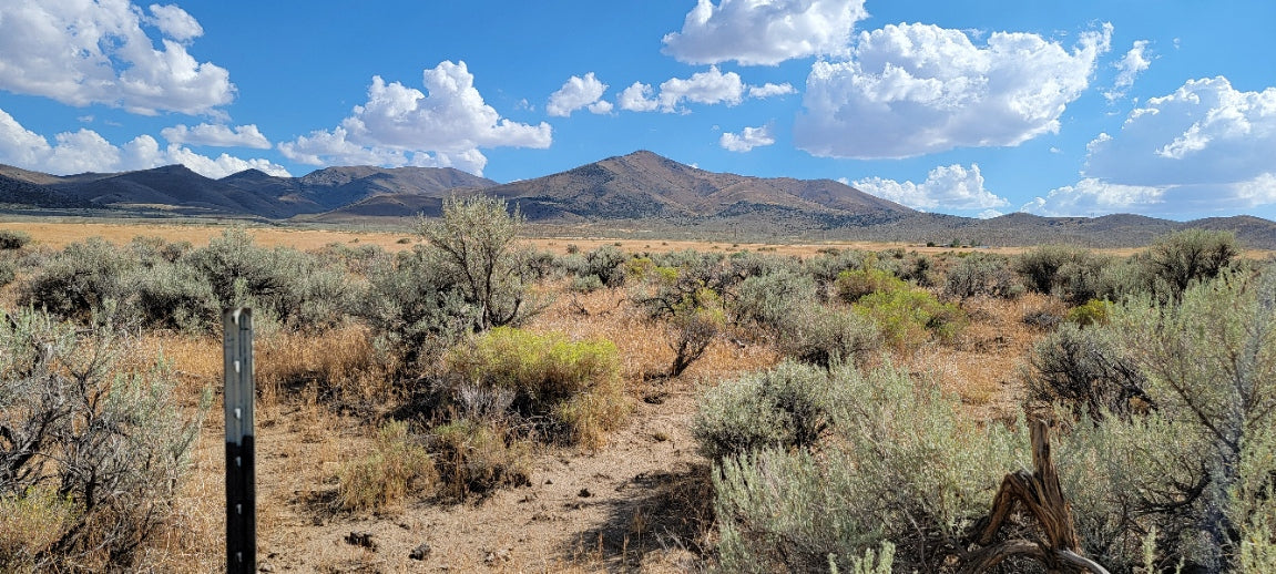 A 10 Acre Lot for Sale in Nevada!
