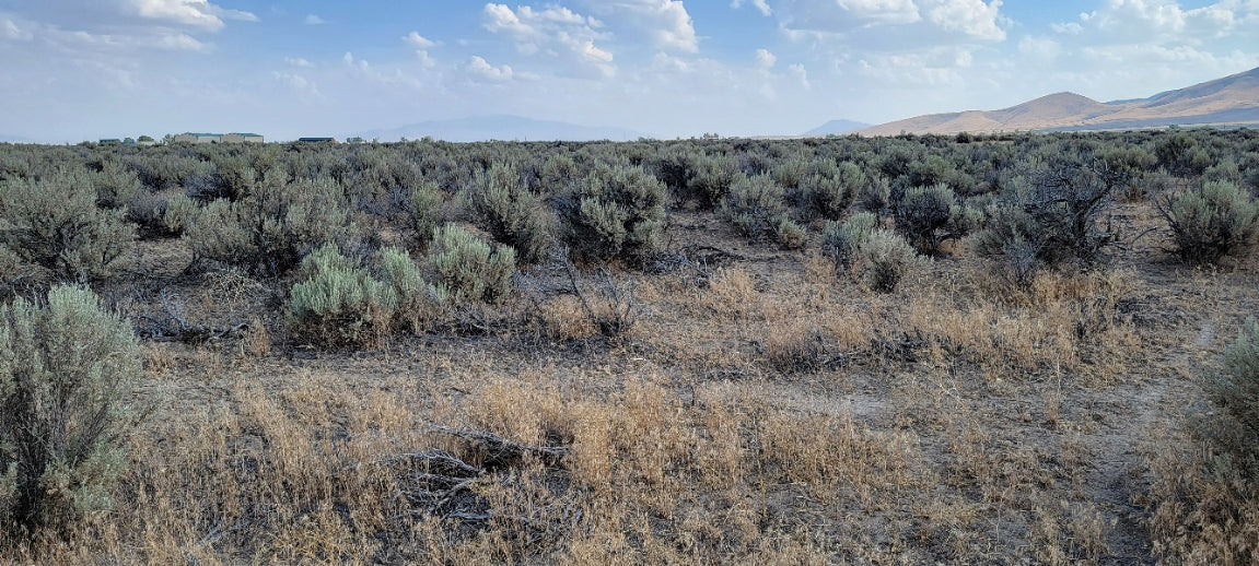 Amazing Views on this 10 Acre Lot For Sale in Nevada!