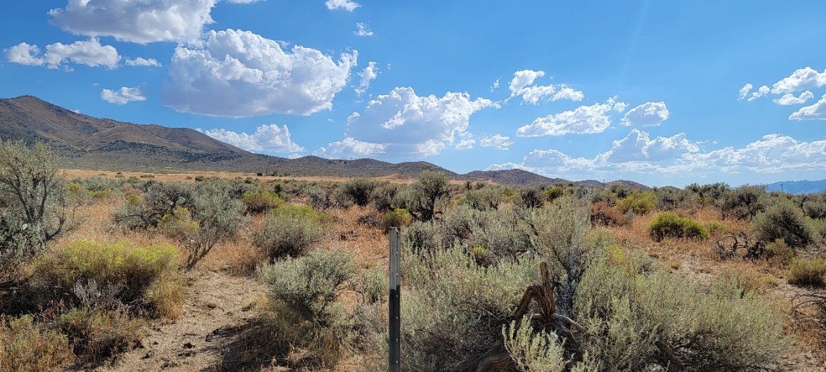 A 10 Acre Lot for Sale in Nevada!