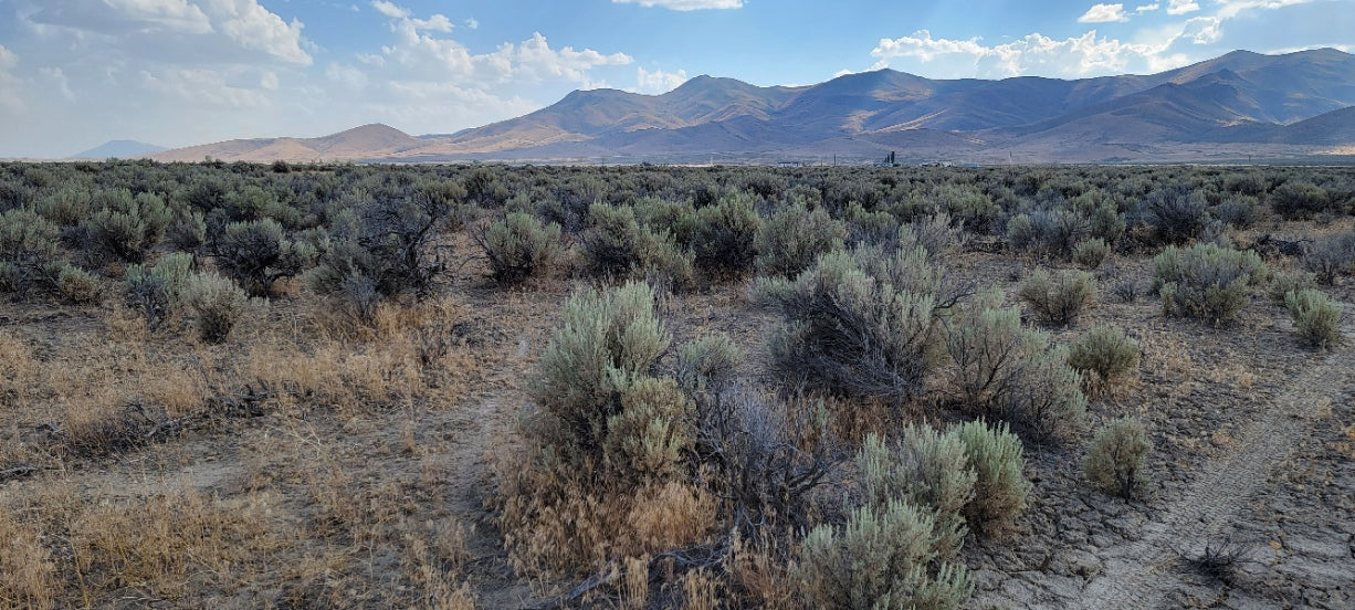 Amazing Views on this 10 Acre Lot For Sale in Nevada!