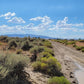 A 10 Acre Lot for Sale in Nevada!