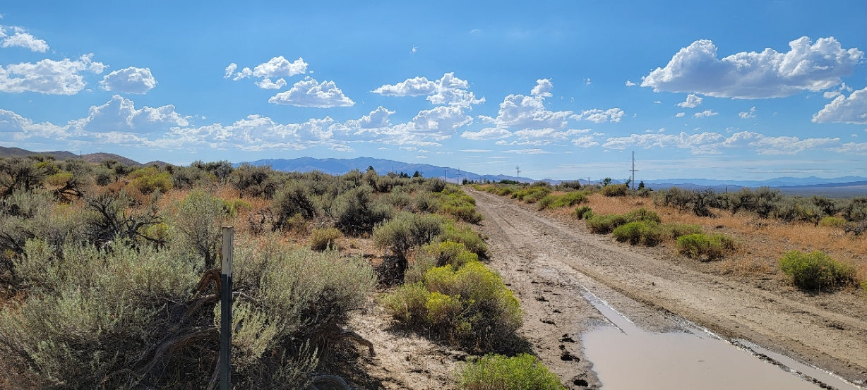 A 10 Acre Lot for Sale in Nevada!