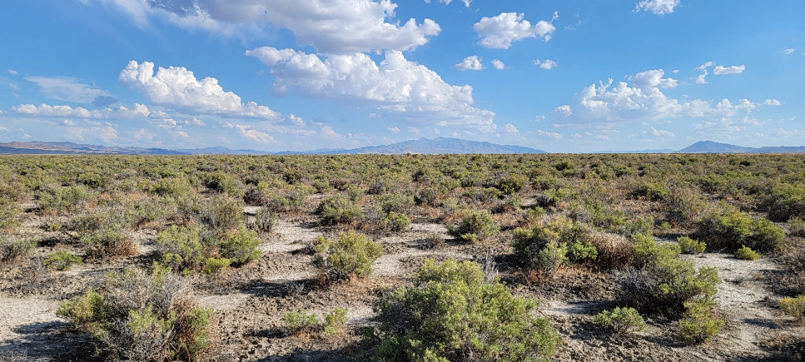 A 10 Acre Lot Available Near Winnemucca, Nevada!