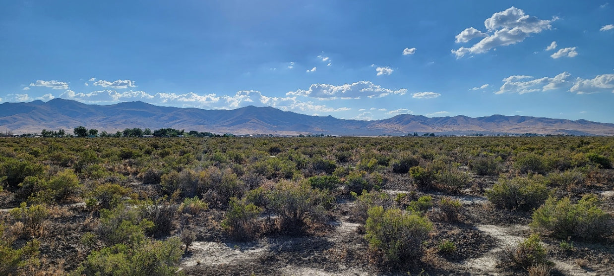 A 10 Acre Lot Available Near Winnemucca, Nevada!