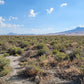 A 10 Acre Lot Available Near Winnemucca, Nevada!