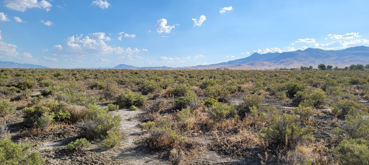 A 10 Acre Lot Available Near Winnemucca, Nevada!