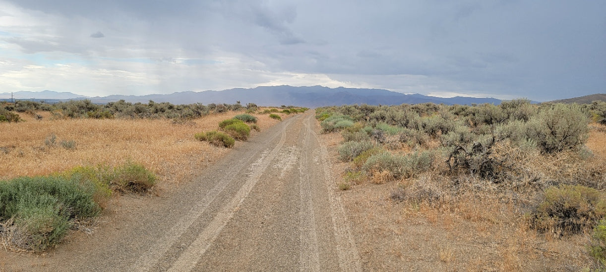 A 10 Acre Lot for Sale in Nevada!