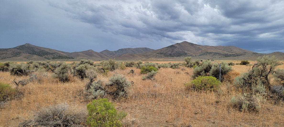 A 10 Acre Lot for Sale in Nevada!