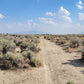 Amazing Views on this 10 Acre Lot For Sale in Nevada!