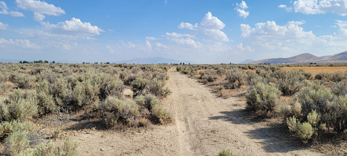 Amazing Views on this 10 Acre Lot For Sale in Nevada!