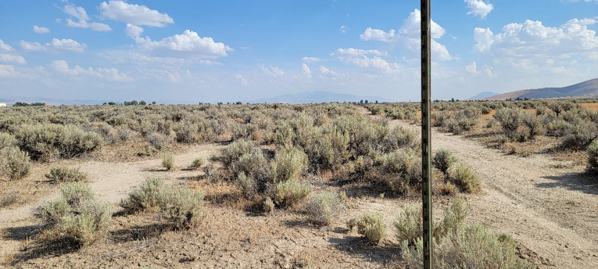 Amazing Views on this 10 Acre Lot For Sale in Nevada!